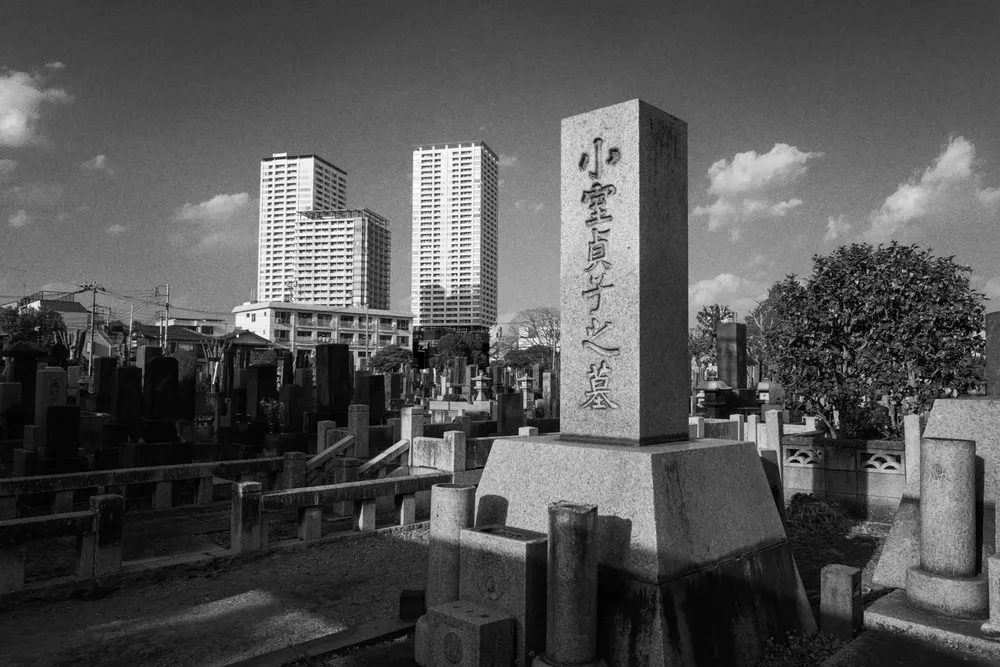 Stone monuments in a cemetery with city buildings beyond
