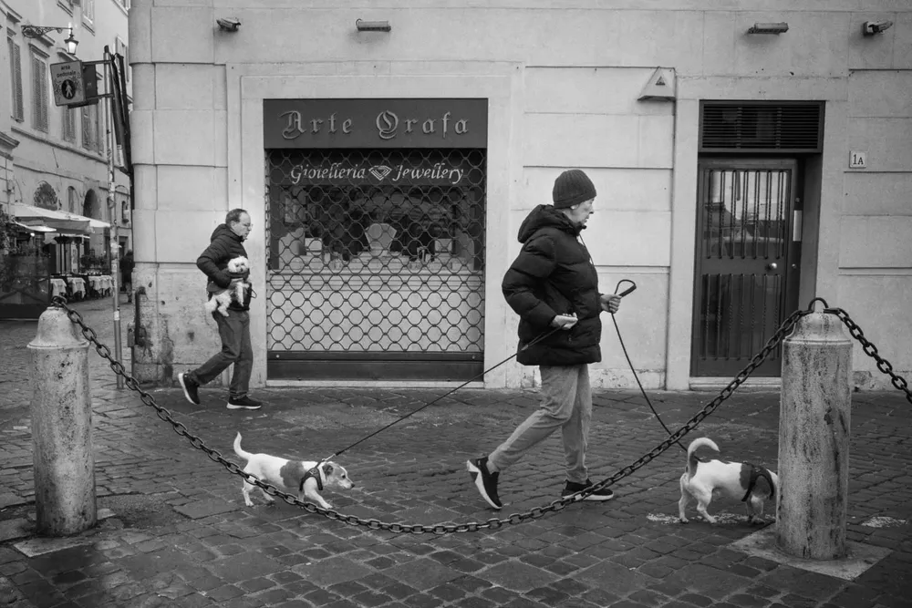 Ensemble — photograph by Eolo Perfido