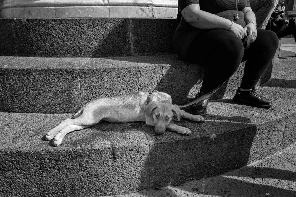 Catania — photograph by Eolo Perfido