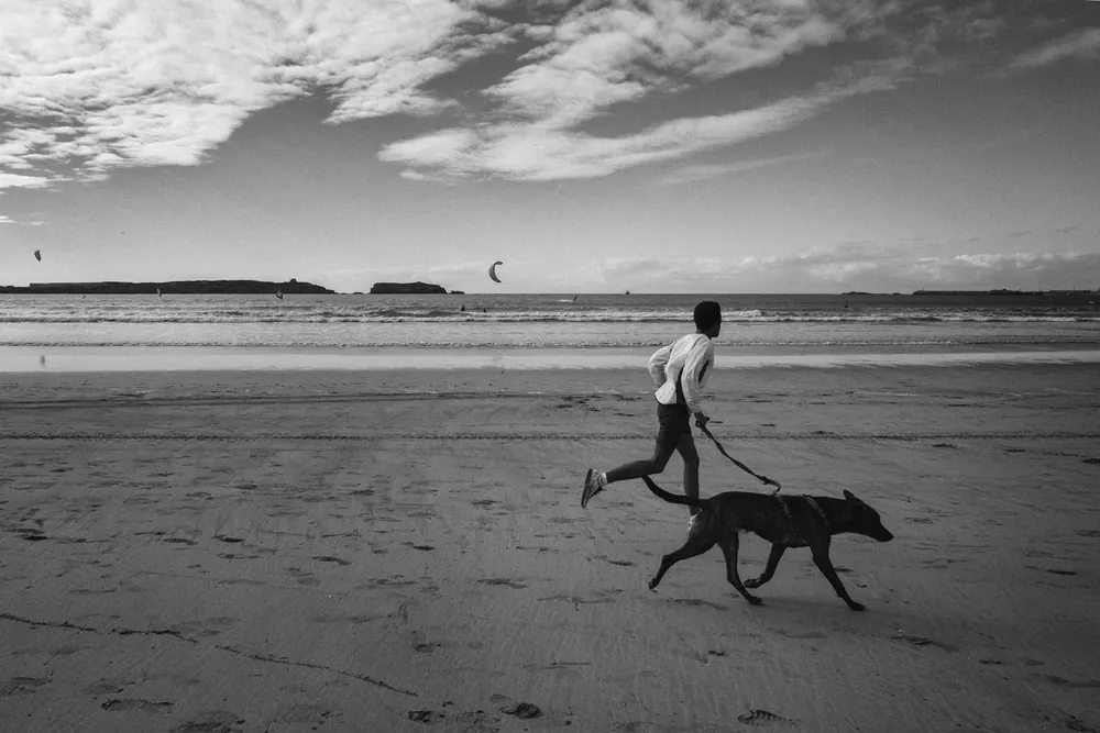 Animals — photograph by Eolo Perfido