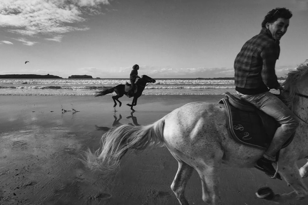 Animals — photograph by Eolo Perfido