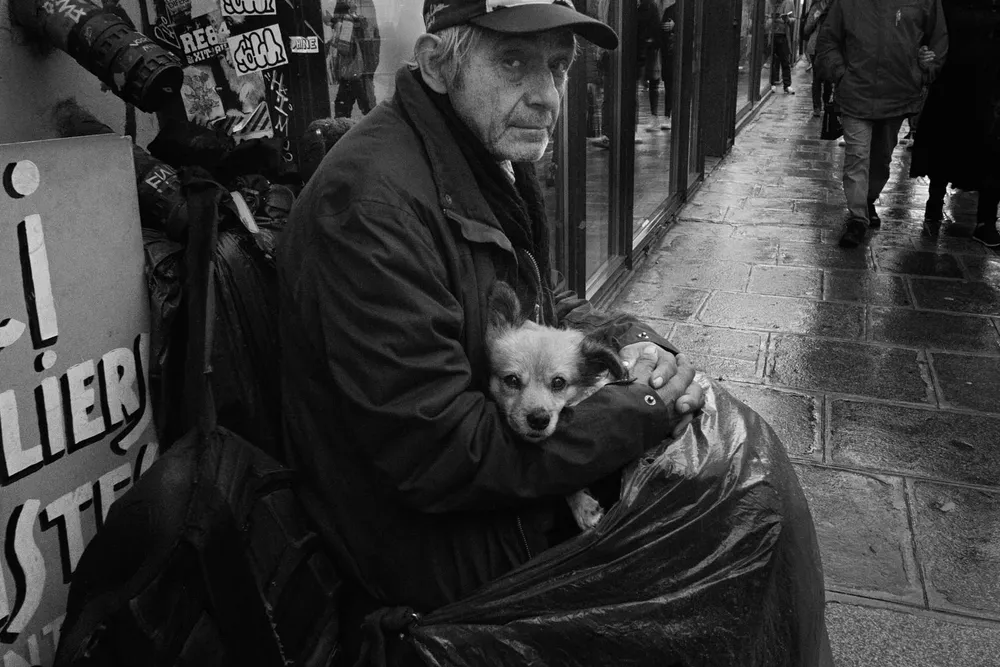 Animals — photograph by Eolo Perfido