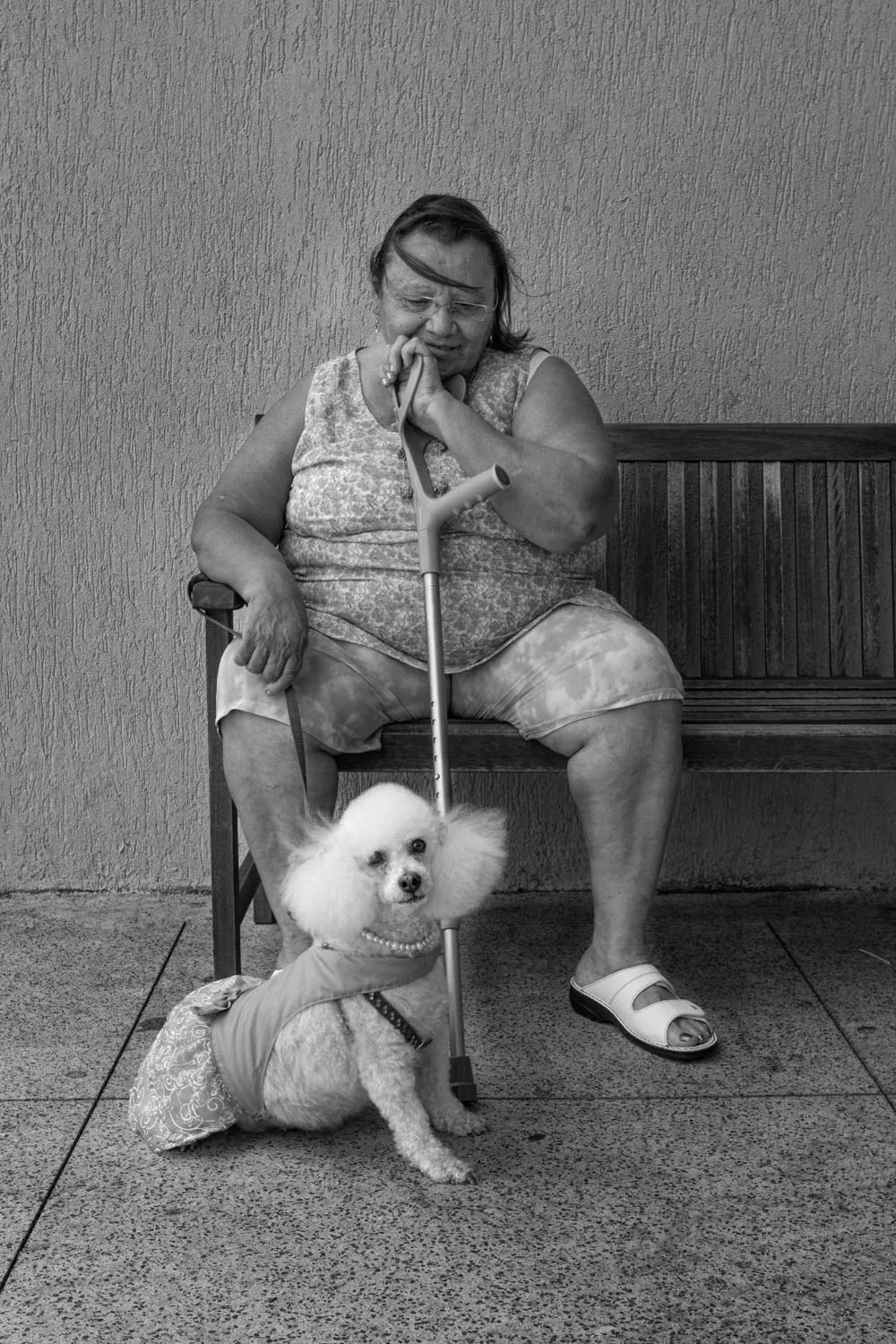 Animals — photograph by Eolo Perfido