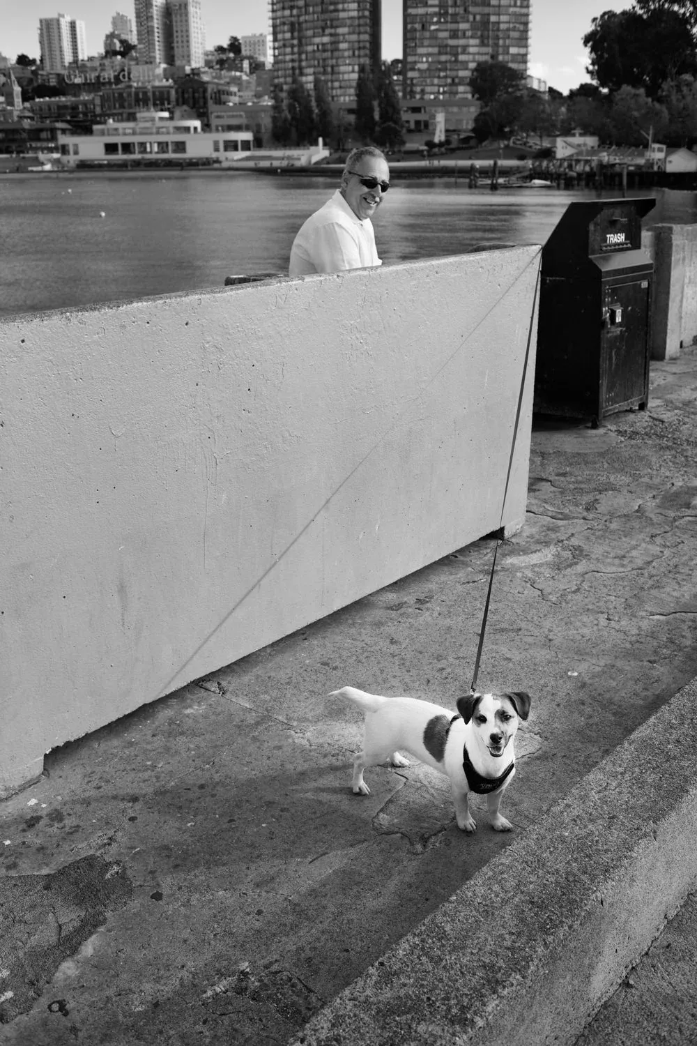 Animals — photograph by Eolo Perfido