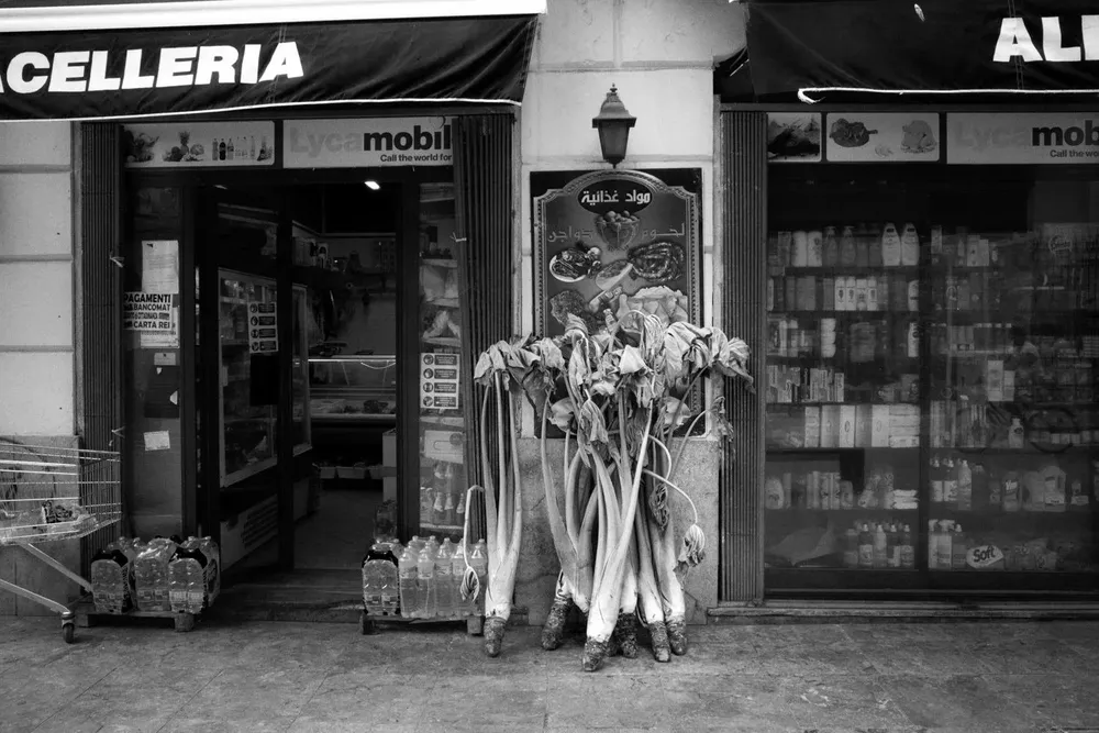 A vendor stands behind a display of long vegetables