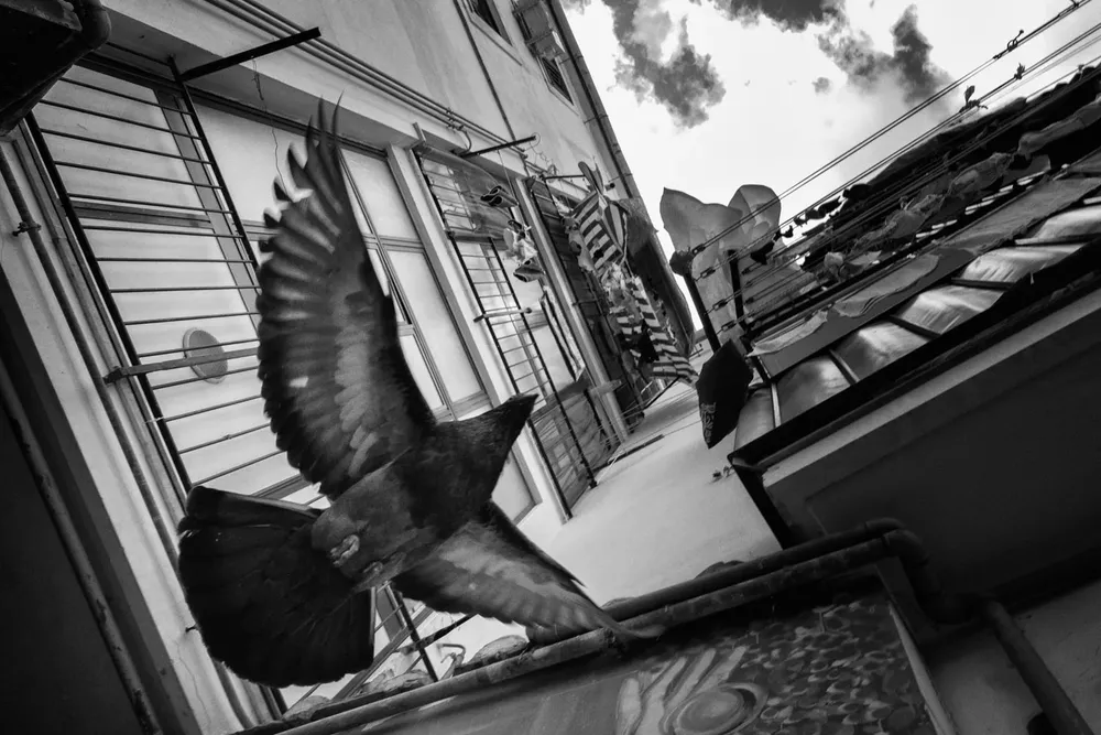 Salerno — photograph by Eolo Perfido