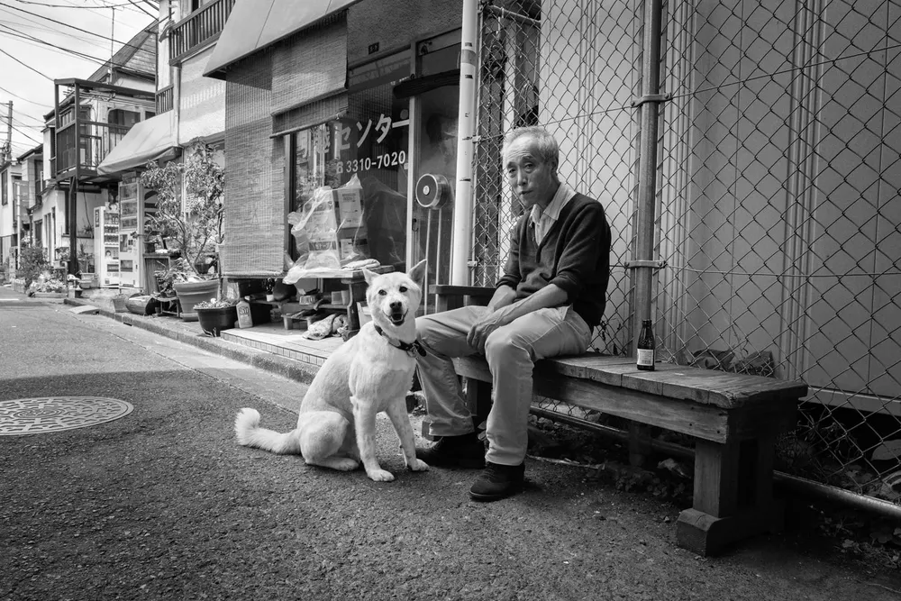 Animals — photograph by Eolo Perfido