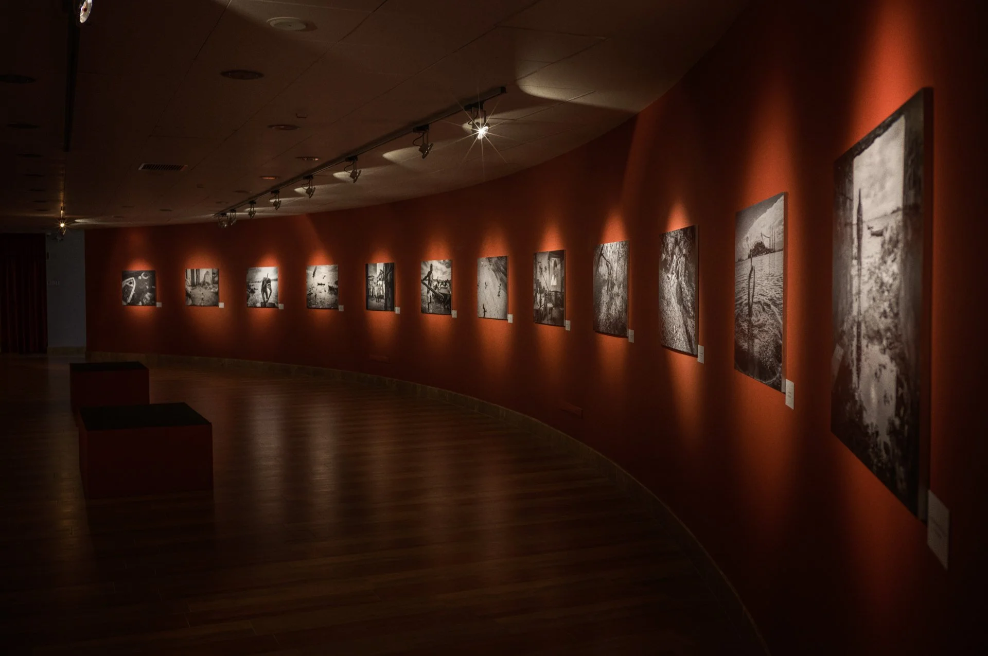 Photographs displayed along a curved gallery wall