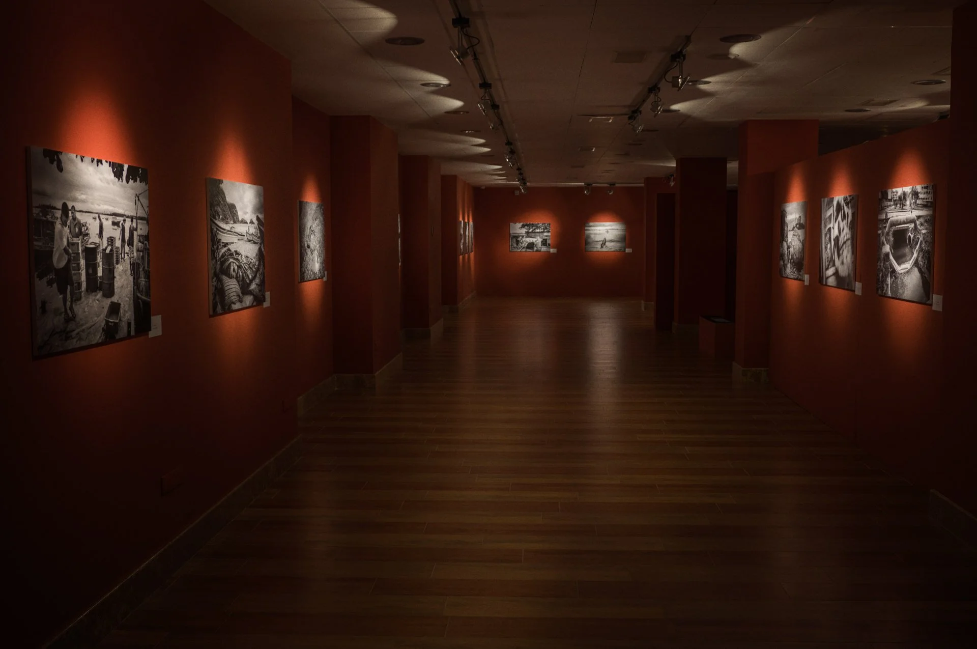 Photographs hang in a softly lit gallery with red walls